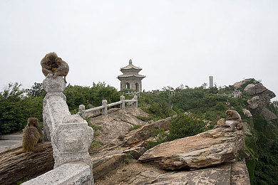 雏鸟圆你一个梦里梦：梦想启航：雏鸟圆梦之旅-3