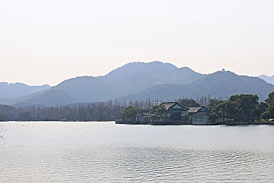 向日葵色板｜阳光向日葵，色彩城市探险记-2