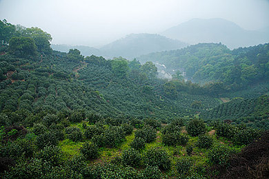 爱情岛线路一淘宝：浪漫之旅定制，淘宝爱情岛线路畅游