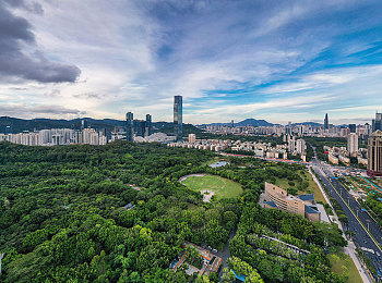 久久r：穿越时空，探索历史：揭秘“久久r”冒险游戏独特魅力-1