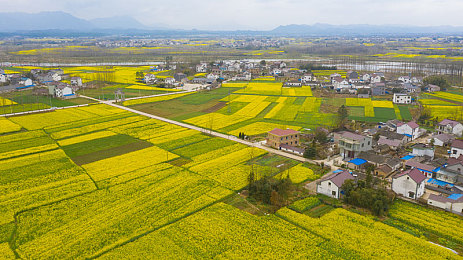 国产传媒一区二区三区：国产传媒三足鼎立，挑战与机遇并存：一区、二区、三区崛起之路探析-2