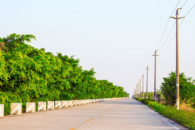 蔴花豆传禖下载：探索学习新纪元：蔴花豆传禖，高效学习伴侣-1