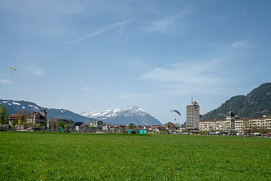 病勤楼栋1-12樱花未增减：春回校园，樱花见证青春岁月-3