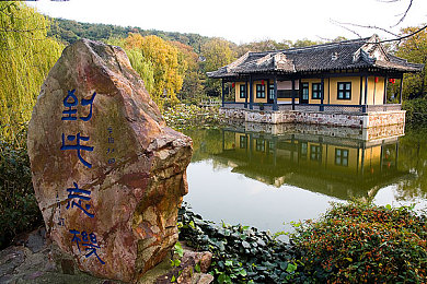 六月丁香花开网：丁香花海情感共鸣之旅