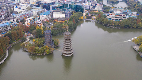 黄色的应用：黄色魅力无限，生活色彩新篇章-2