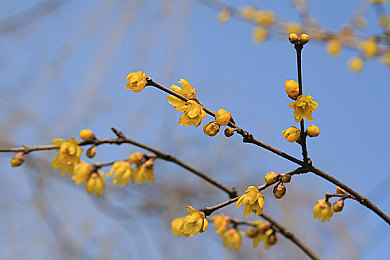 十大最污软件｜揭秘十大神秘“污”软件：隐私风险与便捷功能并存，揭秘隐藏在角落的秘密-2