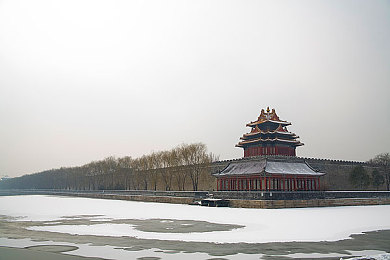 花季传媒呦呦咨询网下载：年轻人新选择,探讨数字服务的双重责任-4