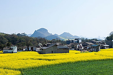 王者乱炖峡谷篇：峡谷英雄集结，挑战与个性同燃-1