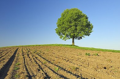 内射黑丝旗袍老师：网络低俗用语侮辱教师形象，教育界呼吁规范网络用语，共建清朗网络空间-5