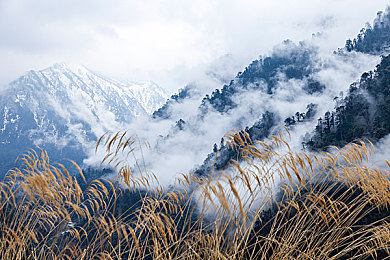 免费a脱衣：免费挑战之旅，塑造粉丝激情体验-3