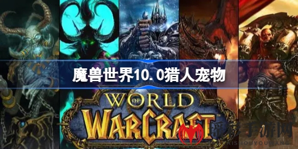 魔兽世界10.0巨龙时代：探索猎人宠物新篇章，解锁艾泽拉斯奇珍异兽