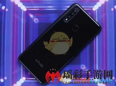 vivo Z5x手机配置介绍