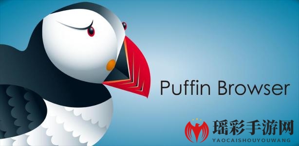 《Puffin浏览器》无法访问网络解决办法