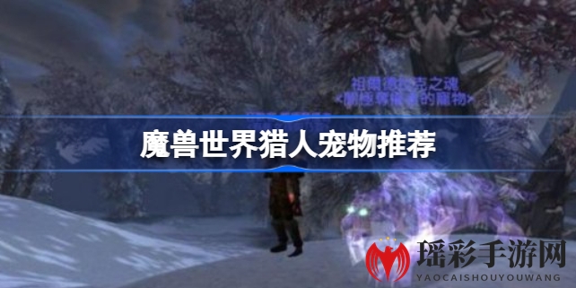 魔兽世界怀旧服WLK版本猎人宠物推荐：升级PVEPVP全攻略