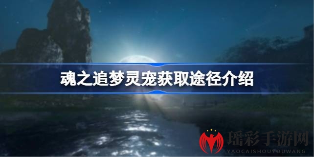 《魂之追梦》揭秘：灵宠获取攻略助力奇幻冒险之旅