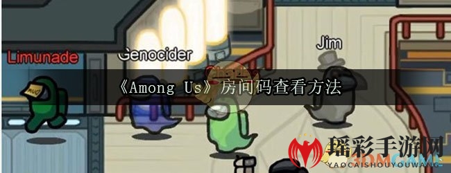 《Among Us》房间码查看方法