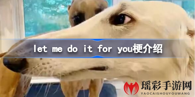 揭秘“let me do it for you”梗：长鼻狗陪你走出悲伤，游戏玩家必看攻略