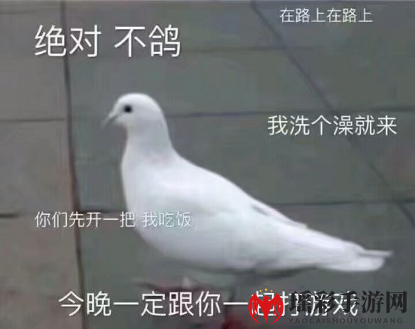 鸽子的反义词是知更鸟是什么梗