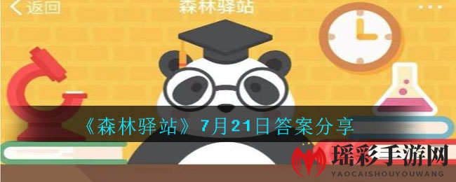 “揭秘森林驿站：小熊猫科普，趣味答题赢爱心”