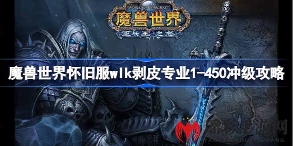 魔兽世界怀旧服WLK剥皮大师之路：450级冲级攻略揭秘